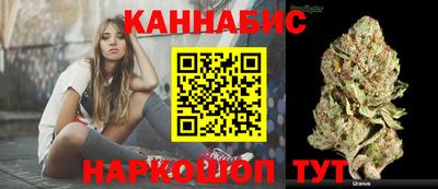 прущие крисы Будённовск