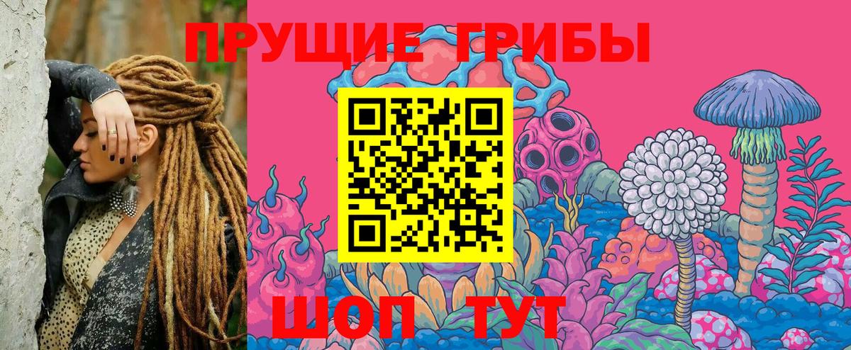 Псилоцибиновые грибы Cubensis Оренбург