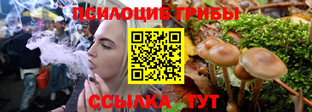 Оренбург  Псилоцибиновые грибы MAGIC MUSHROOMS  наркотики  Вход с VPN 